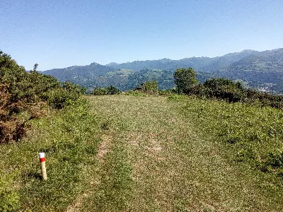 Elizondorako bidean/Camino Elizondo