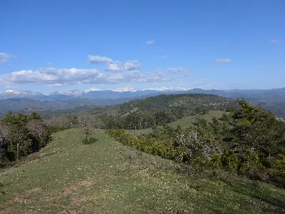Al fondo, pirineos