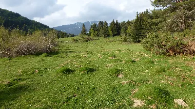 Prados