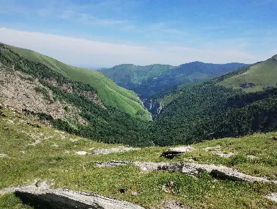 Kakuetako Arroila Arrakogoititik / Garganta de Kakueta desde Arrakogoiti