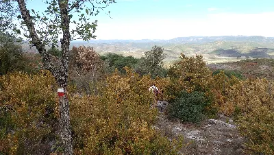 PA125468