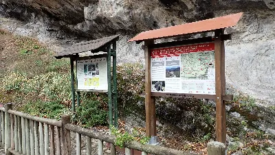 PA205526