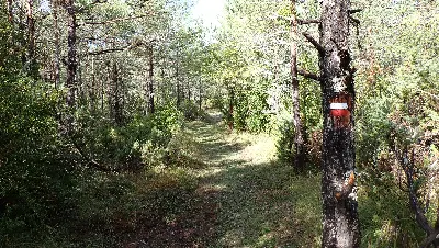 PA205556