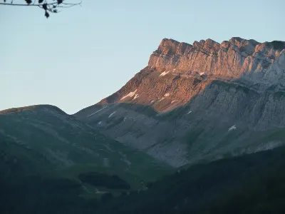 Los Alanos (Zuriza)