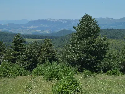 Berrendi eta Abodi Lakuagatik / Berrendi y Abodi desde Lakuaga