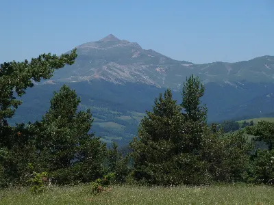 Orhi