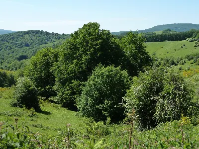 Camino Nabala Bidea