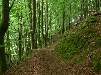 Naturaren koloreak