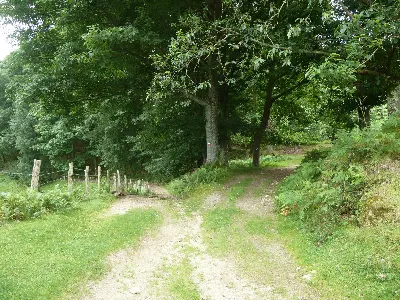Gardelberri