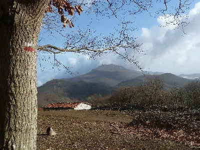 LARUN